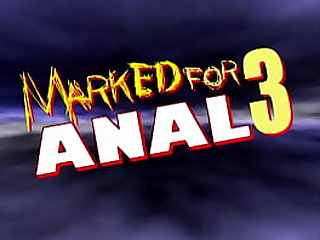 free video gallery metro-marked-for-anal-no-03-full-movie